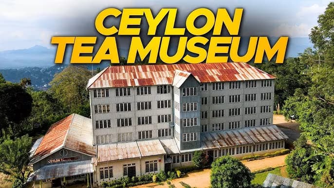 srilanka tea museum kandy daytour in 2025