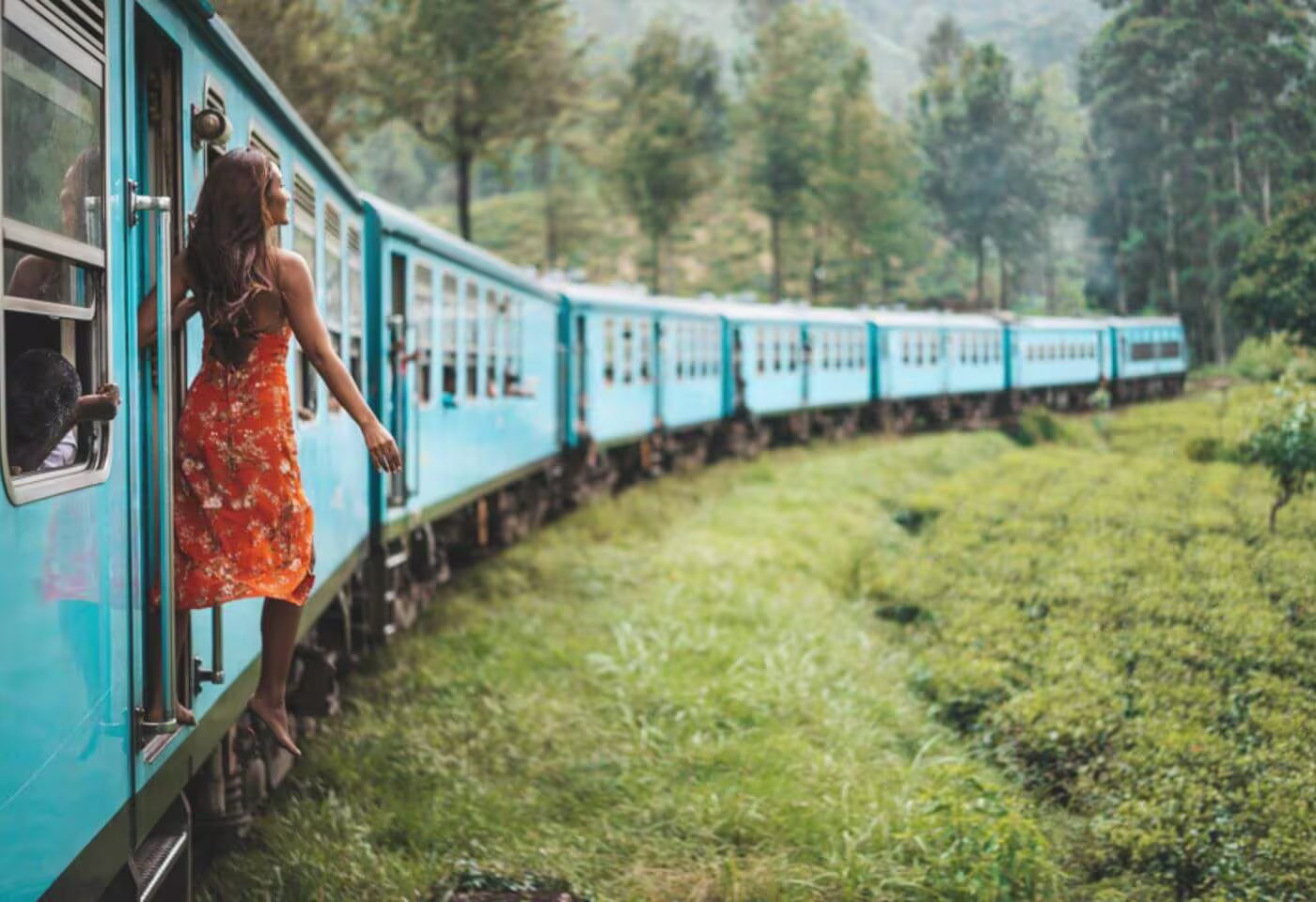 srilanka most beautyful scenic train ride in nuwaraeliya