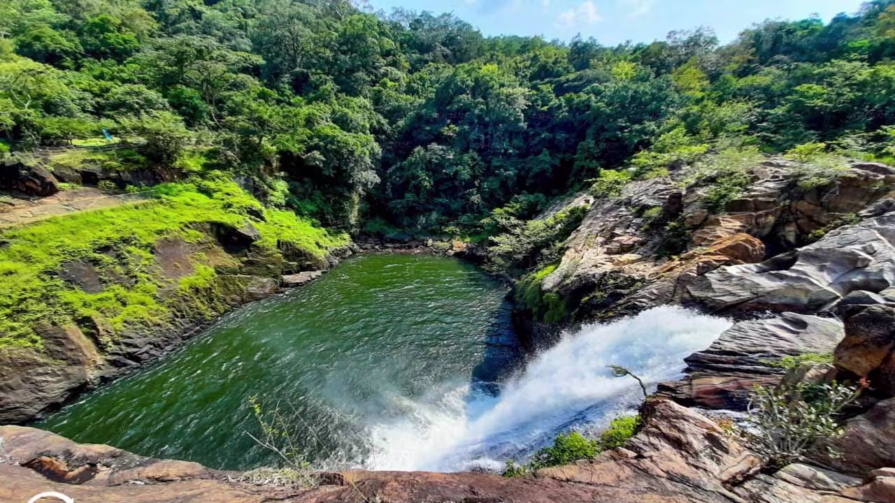 sinharaja rainforest waterfall bathing in srilanka daytours