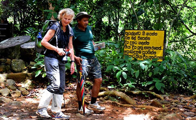 sinharaja trail walk tours in srilanka 2025