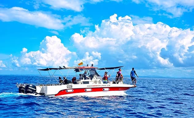 whale watching in private boats mirissa srilanka 2025