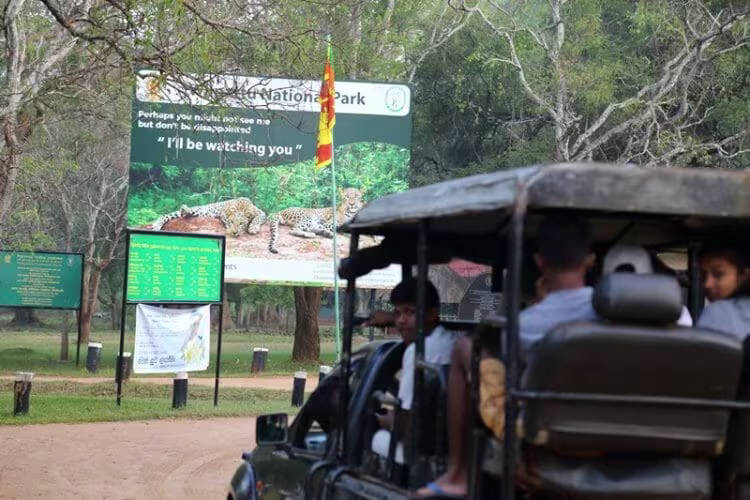 evening willpattu national park safari in srilanka 2025