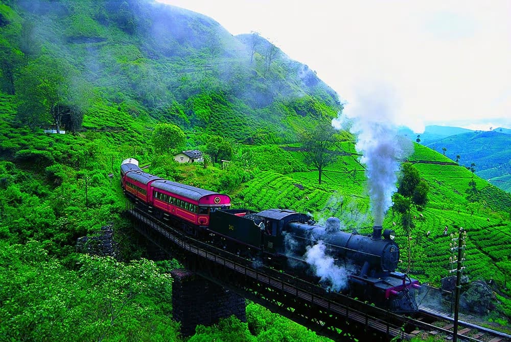 nuwaraeliya little england daytours agency in srilanka 2025 nuwaraeliya daytours in srilanka 2025