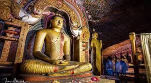 dambulla golden temple tour in srilanka 2025