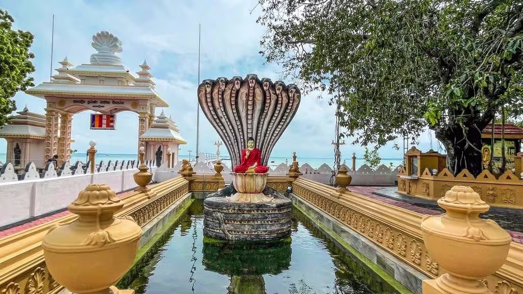 jaffna nagadeepa temple tour in srilanka