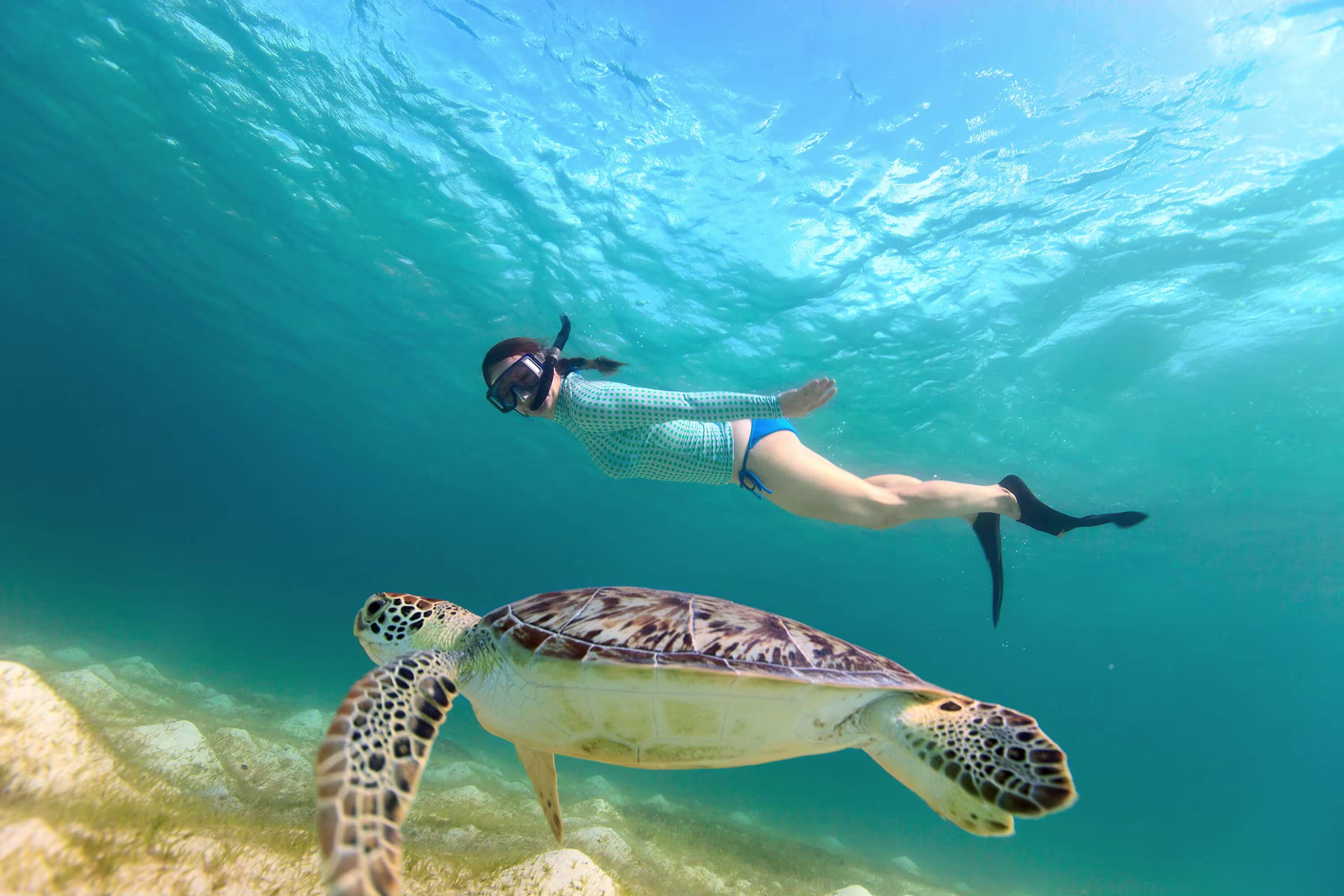 srilanka snorkling in turtle bay mirissa 2025