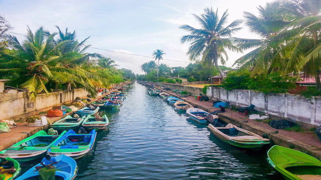 negombo dutch canal cruise in srilanka