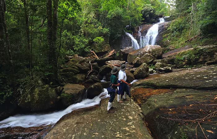 sinharaja rainforest camping and trekking tours in srilanka