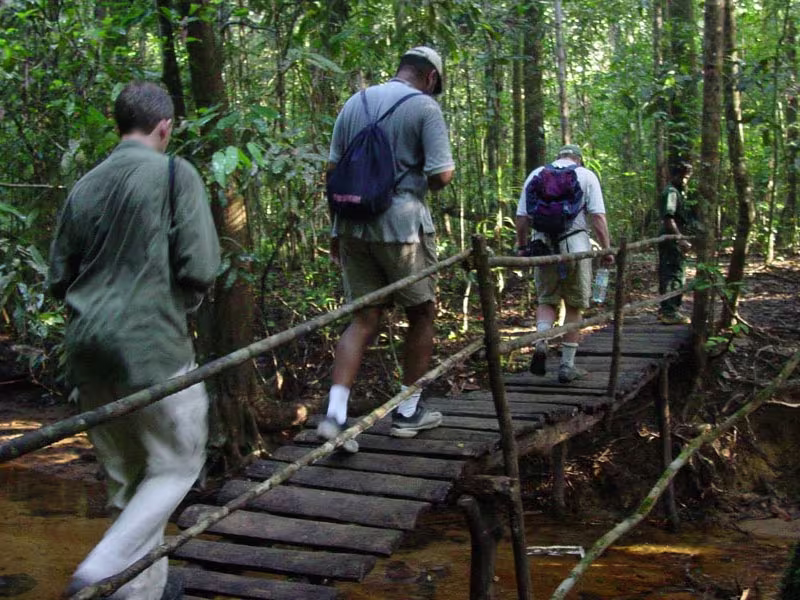 sinharaja rainforest tours in srilanka