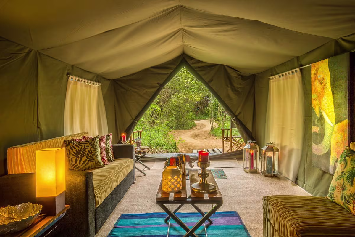 yala national park luxury camping tours in srilanka 2025